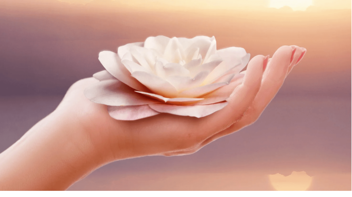 Past Events - For the Love of Natural Living, LLC 